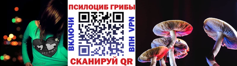 Псилоцибиновые грибы мухоморы как найти наркотики Бахчисарай